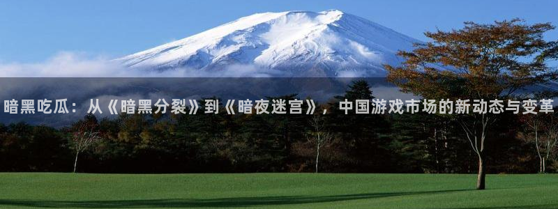 暗黑吃瓜：从《暗黑分裂》到《暗夜迷宫》，中国游戏市场的新动态与变革