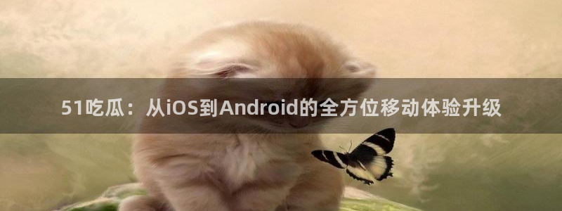 51吃瓜：从iOS到Android的全方位移动体验升级